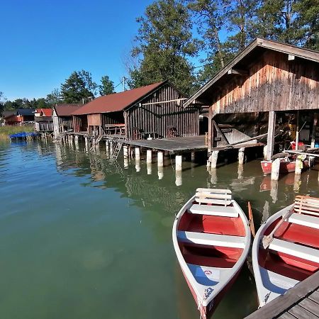 Wunderschoene Ferienwohnung Mit Seeblick 沼泽附近策尔 外观 照片