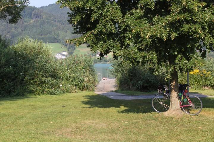 Wunderschoene Ferienwohnung Mit Seeblick 沼泽附近策尔 外观 照片