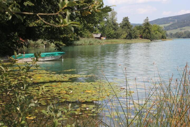 Wunderschoene Ferienwohnung Mit Seeblick 沼泽附近策尔 外观 照片