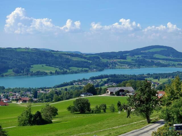 Wunderschoene Ferienwohnung Mit Seeblick 沼泽附近策尔 外观 照片